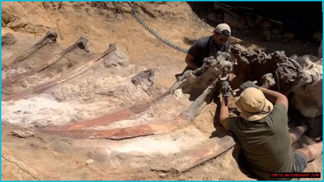 Digging Deep Into The Abby Berner Leaks: Uncovering Secrets And Consequences